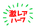 An[t